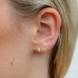 Venus Studs